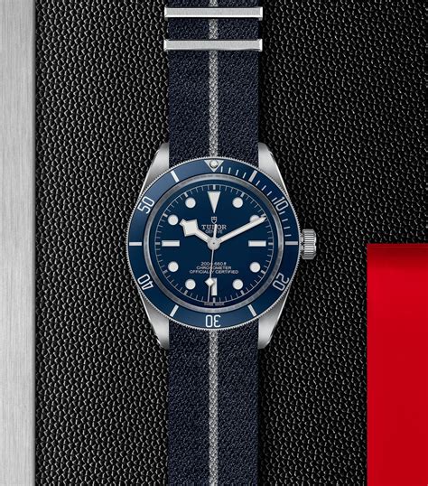 tudor black bay blue 39mm|tudor black bay 39 champagne.